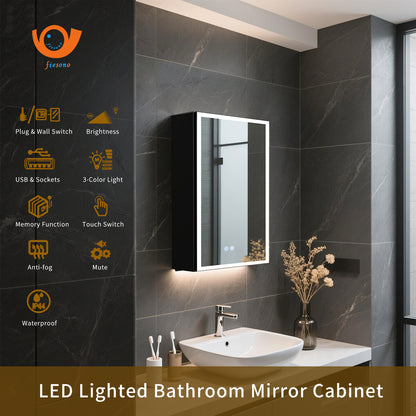 FIESONO 20x28 inch LED Bathroom Mirror Medicine Cabinet with Anti-Fog